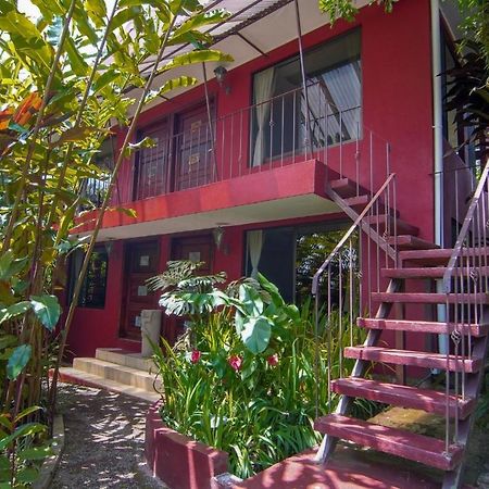 La Boruca Bed and Breakfast San Isidro  Buitenkant foto