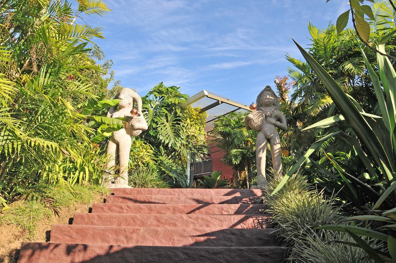 La Boruca Bed and Breakfast San Isidro  Buitenkant foto