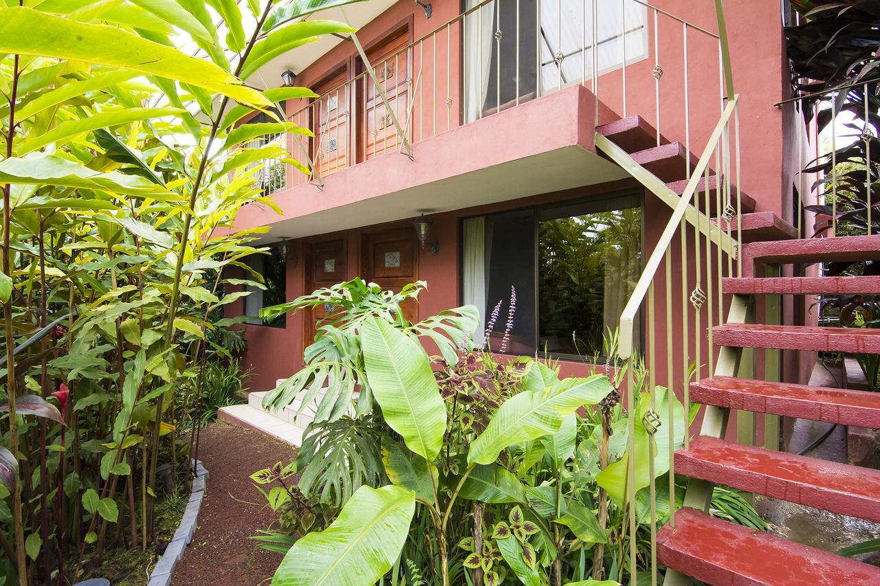 La Boruca Bed and Breakfast San Isidro  Buitenkant foto