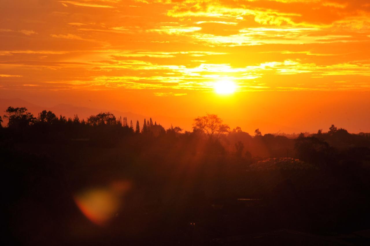 La Boruca Bed and Breakfast San Isidro  Buitenkant foto