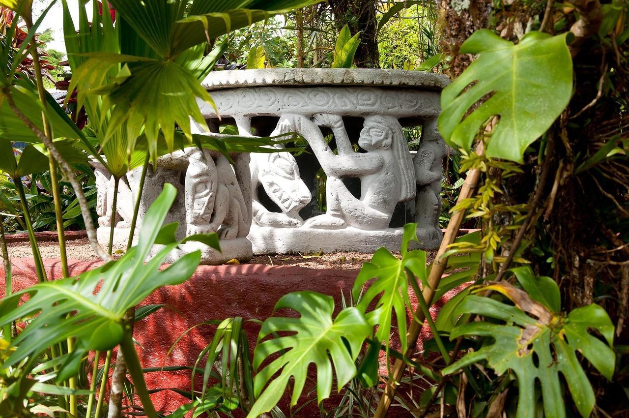 La Boruca Bed and Breakfast San Isidro  Buitenkant foto