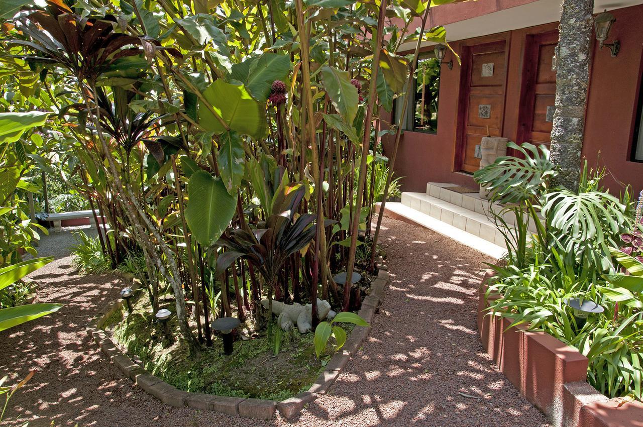 La Boruca Bed and Breakfast San Isidro  Buitenkant foto
